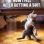 Swag cat | HOW I FELL AFTER GETTING A SUIT: | image tagged in swag cat | made w/ Imgflip meme maker