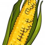 Corn con