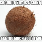 quick and easy meme | DA COCONUT NUT IS A GIANT NUT; IF YOU EAT TOO MUCH YOU GET VERY FAT | image tagged in coconut | made w/ Imgflip meme maker