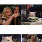 Woman Yelling At Cat Then Cat Yelling At Woman