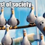 Nemo Birds | The rest of society; ME | image tagged in nemo birds | made w/ Imgflip meme maker