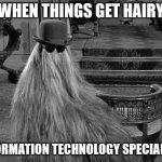 Cousin IT | WHEN THINGS GET HAIRY; INFORMATION TECHNOLOGY SPECIALIST | image tagged in cousin it | made w/ Imgflip meme maker