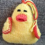 Knit Duck