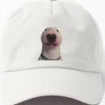 Funny hat Meme Generator - Imgflip