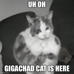 Gigachad Cat is Here | UH OH; GIGACHAD CAT IS HERE | image tagged in gigachad cat | made w/ Imgflip meme maker