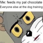 dog | Me: feeds my pal chocolate; Everyone else at the dog training | image tagged in me everyone else | made w/ Imgflip meme maker