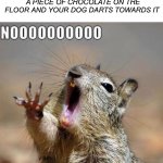 WAIT NO- | WHEN YOU ACCIDENTALLY DROP A PIECE OF CHOCOLATE ON THE FLOOR AND YOUR DOG DARTS TOWARDS IT | image tagged in noooooooooooooooooooooooo,memes,funny,dogs,chocolate,dead | made w/ Imgflip meme maker