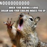 noooooooooooooooooooooooo | WHEN YOUR HAVING A GOOD DREAM AND YOUR SIBILING WAKES YOU UP | image tagged in noooooooooooooooooooooooo | made w/ Imgflip meme maker