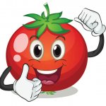 Happy Tomato