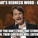 far | TODAY’S REDNECK WORD - FAR:; IF YOU DON’T TURN THAT STOVE DOWN, THEM CHICKENS WILL CATCH FAR. | image tagged in jeff foxworthy you might be a redneck | made w/ Imgflip meme maker