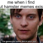I'm gonna put some dirt in your eye | me when i find out hamster memes exist: | image tagged in i'm gonna put some dirt in your eye,hamster | made w/ Imgflip meme maker