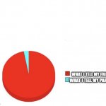 really true | WHAT I TELL MY FRIENDS; WHAT I TELL MY PARENTS | image tagged in pie graph meme | made w/ Imgflip meme maker