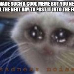 so sad. | YOU MADE SUCH A GOOD MEME BUT YOU NEED TO WAIT UNTIL THE NEXT DAY TO POST IT INTO THE FUN STREAM | image tagged in mega sad cat,memes,fun,funny,lol,sad | made w/ Imgflip meme maker
