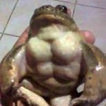 buff toad