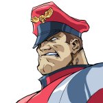 m bison