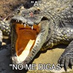 ''No me digas'' | ''A''; ''NO ME DIGAS'' | image tagged in crocodile | made w/ Imgflip meme maker