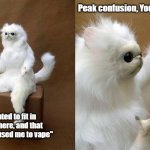 That part of an anti-vape commercial is confusing at that part | "I wanted to fit in somewhere, and that is what caused me to vape" Peak confusion, Youtube ads | image tagged in memes,persian cat room guardian,youtube | made w/ Imgflip meme maker