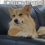 Unimpressed Corgi | I’M FEELING LEFT OUT | image tagged in brynlee disapproves | made w/ Imgflip meme maker