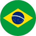 Circled Brazilian Flag