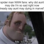 me too kid | spider man NWH fans: why did aunt may die i'm so sad right now
people who already say aunt may dying in marvel's spider man: | image tagged in me too kid,spider man,no way home | made w/ Imgflip meme maker