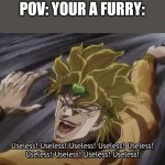I hate em,deal with it | POV: YOUR A FURRY: | image tagged in use,less | made w/ Imgflip meme maker