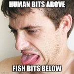 mermaids | HUMAN BITS ABOVE; FISH BITS BELOW | image tagged in eww | made w/ Imgflip meme maker