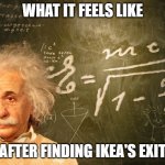 How true is this? | WHAT IT FEELS LIKE; AFTER FINDING IKEA'S EXIT | image tagged in smart,albert einstein,ikea | made w/ Imgflip meme maker
