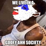 quandale dingle | WE LIVE IN A; GOOFY AHH SOCIETY | image tagged in quandale dingle | made w/ Imgflip meme maker