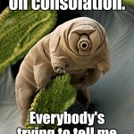 I'm a Tardigrade. I can survive 30 years without food & water. | Everybody's high
on consolation. Everybody's
trying to tell me
what is right for me. | image tagged in i'm a tardigrade i can survive 30 years without food water | made w/ Imgflip meme maker