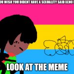 pansexual memes | DAM YOU WISH YOU DIDENT HAVE A SEXUALITY SAID XENO KALLUM; LOOK AT THE MEME | image tagged in memes | made w/ Imgflip meme maker