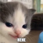 Hehe cat | HEHE | image tagged in hehe cat | made w/ Imgflip meme maker