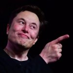 Musk Pointing meme