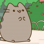 Happy Cat (THICC) GIF Template