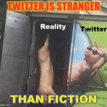 Twitter is Stranger Than Fiction | TWITTER IS STRANGER; THAN FICTION | image tagged in twitter | made w/ Imgflip meme maker