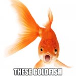 Goldfish Meme | MMMMMM... THESE GOLDFISH ARE SO GOOD | image tagged in goldfish,meme,funny meme,offended | made w/ Imgflip meme maker