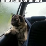 Introspective Pug | MOM BE LIKE: TAKE CARE OF UR DOG ME BE LIKE: WAIT THAT’S A DOG, I THOUGHT IT WAS A SMOOSHED POTATO | image tagged in introspective pug | made w/ Imgflip meme maker