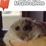 oh heck rotom | Oh heck, rotom

Why ur here

Are you a phone | image tagged in hampter | made w/ Imgflip meme maker