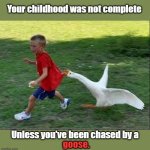 goose chase | Your childhood was not complete; Unless you've been chased by a; goose. | image tagged in goose chase | made w/ Imgflip meme maker