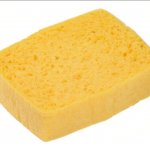 wet sponge