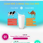 Camel Milk Products in India