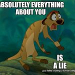 Failure | ABSOLUTELY EVERYTHING
ABOUT YOU; IS A LIE; you failed at being a human being | image tagged in baffled timon,failure,fail,fails,failed,memes | made w/ Imgflip meme maker