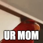 your mom | UR MOM | image tagged in gifs,your mom | made w/ Imgflip video-to-gif maker