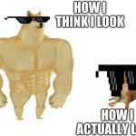 i am not popular | HOW I THINK I LOOK HOW I ACTUALLY LOOK | image tagged in big dog small dog | made w/ Imgflip meme maker