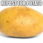 Potato | REPOST FOR POTATO | image tagged in potato | made w/ Imgflip meme maker