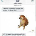 your pet look very polite | polite | image tagged in your pet look very polite | made w/ Imgflip meme maker