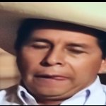 Pedro Castillo