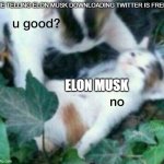 u good? no | ME TELLING ELON MUSK DOWNLOADING TWITTER IS FREE; ELON MUSK | image tagged in u good no,elon musk | made w/ Imgflip meme maker