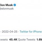 Elon Musk Buying Twitter meme