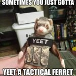 Tactical Ferret time | SOMETIMES YOU JUST GOTTA; YEET A TACTICAL FERRET | image tagged in tactical ferret | made w/ Imgflip meme maker