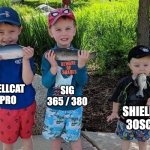 s&w does it again | HELLCAT
PRO; SIG
365 / 380; SHIELD
30SC | image tagged in fishing kids,smith and wesson,sig,30sc,springfield armory | made w/ Imgflip meme maker